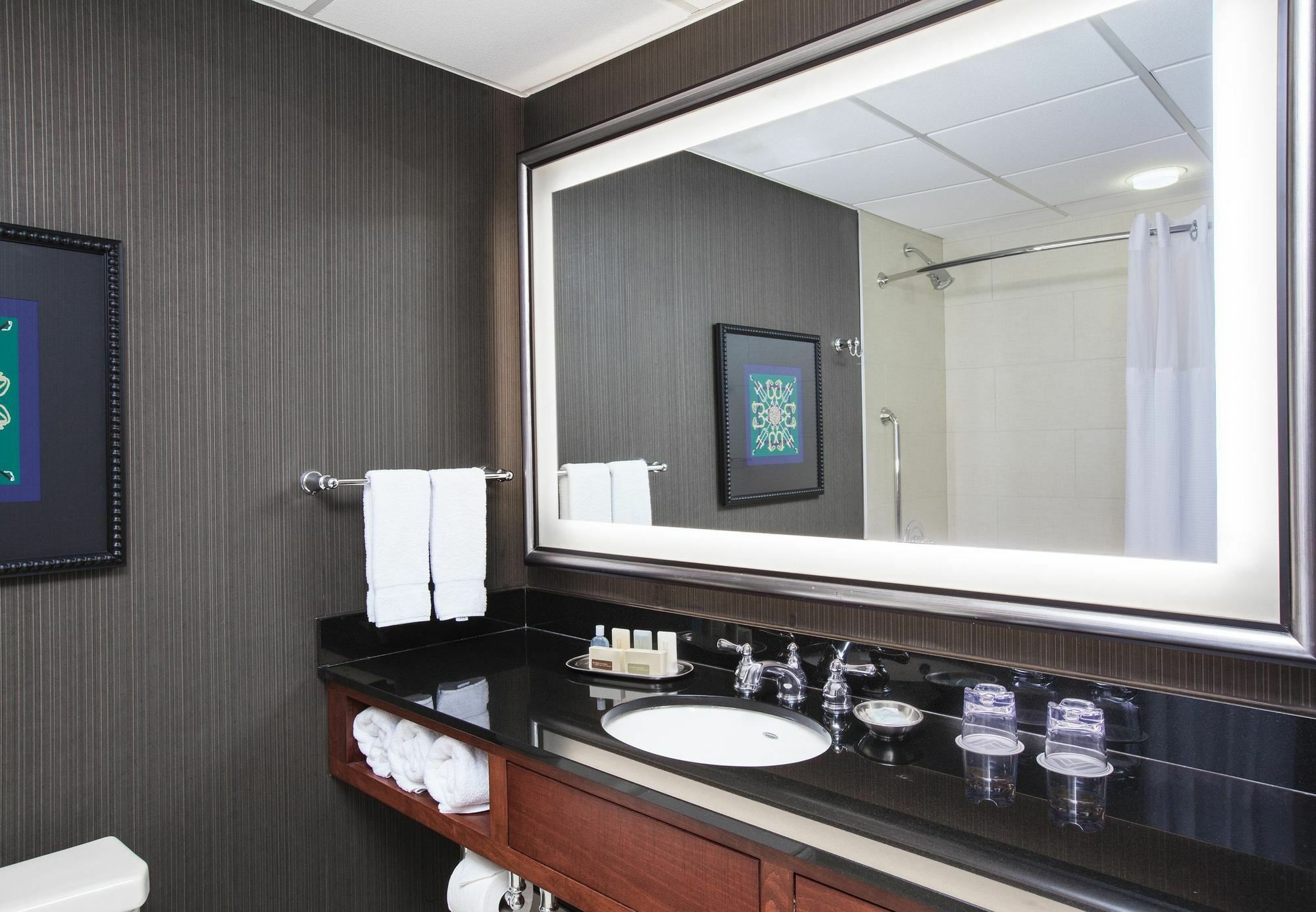 Delta Hotels By Marriott Baltimore Hunt Valley Exterior photo